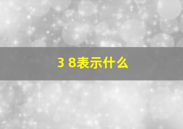 3 8表示什么